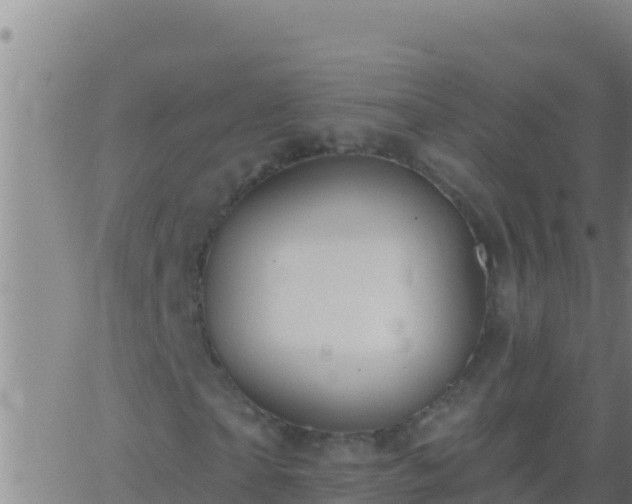 X0000062910865200601201934