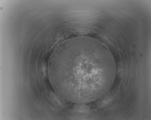 X0000062910866200601201934