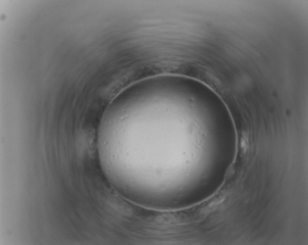 X0000062910867200601201934