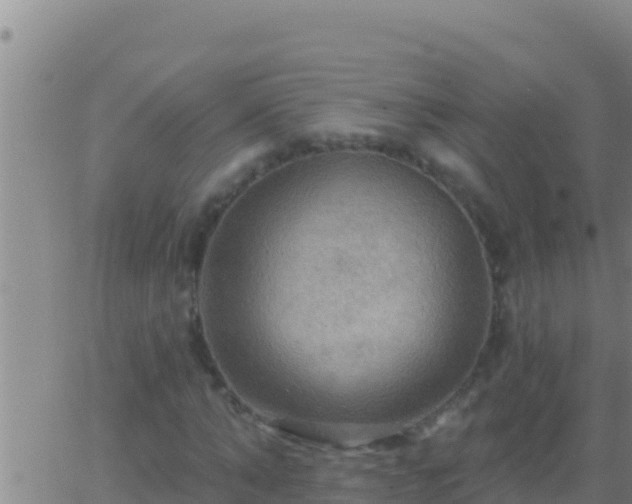 X0000062910870200601201934