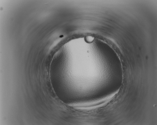 X0000062910871200601201934