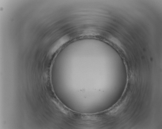 X0000062910874200601201934