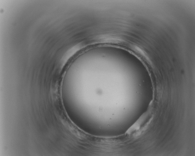 X0000062910875200601201934