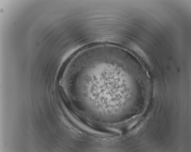 X0000062910876200601201934