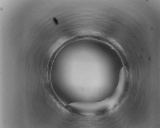 X0000062910877200601201934