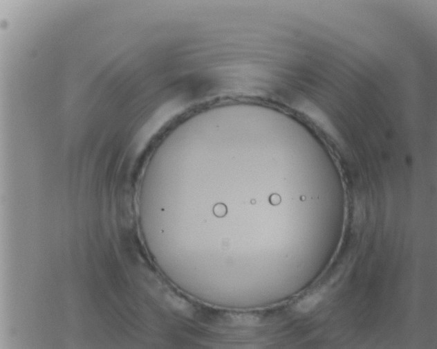 X0000062910878200601201934