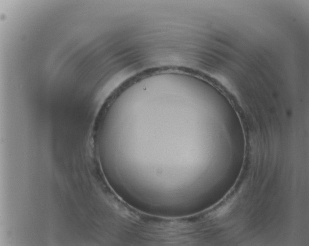 X0000062910879200601201933