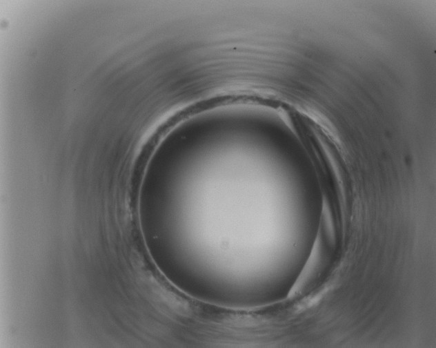 X0000062910880200601201933