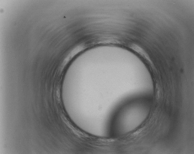 X0000062910882200601201933