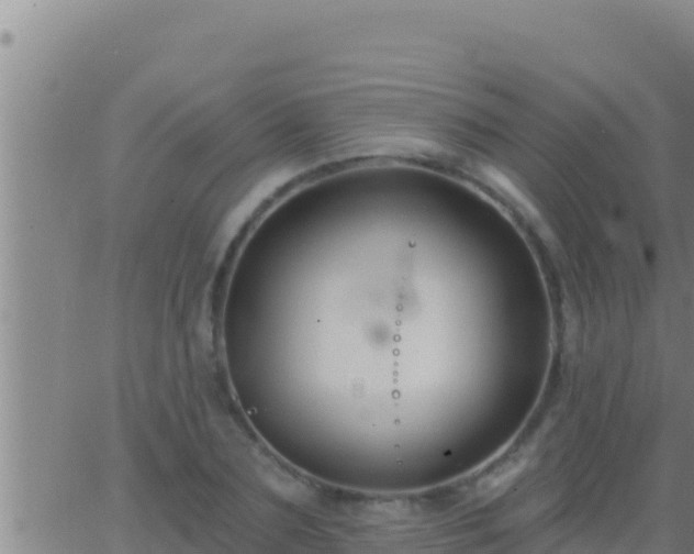 X0000062910883200601201933