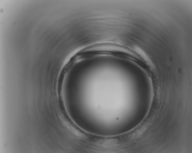 X0000062910884200601201933