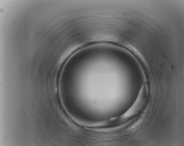 X0000062910885200601201933