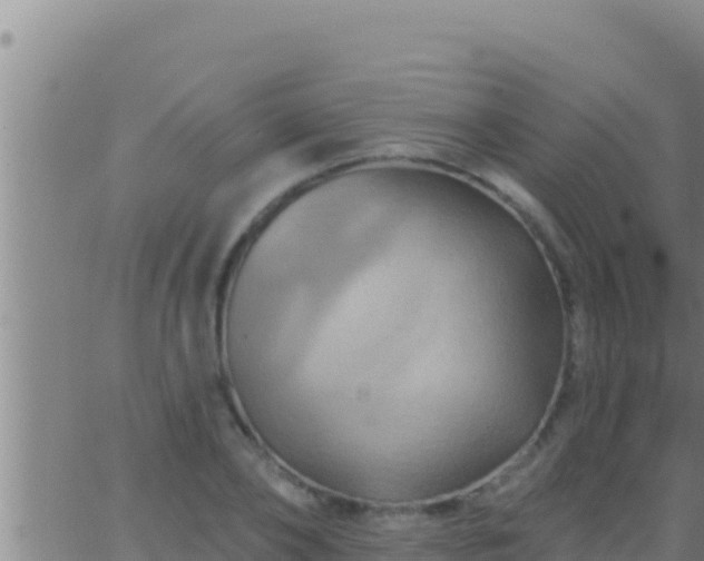 X0000062910886200601201933