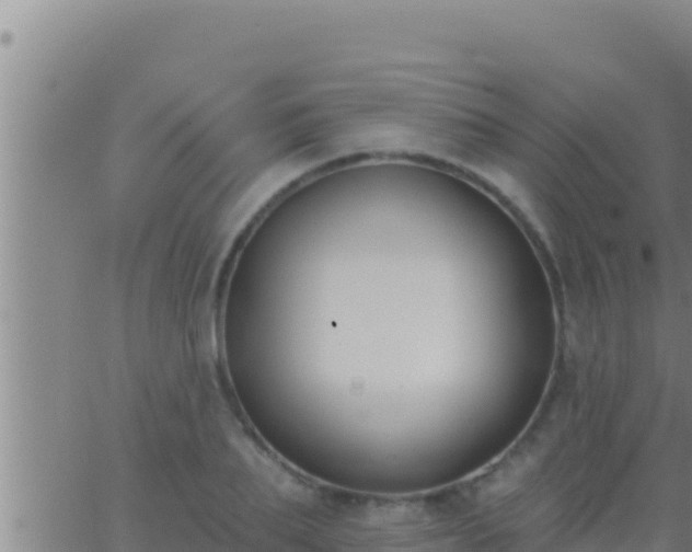 X0000062910887200601201933