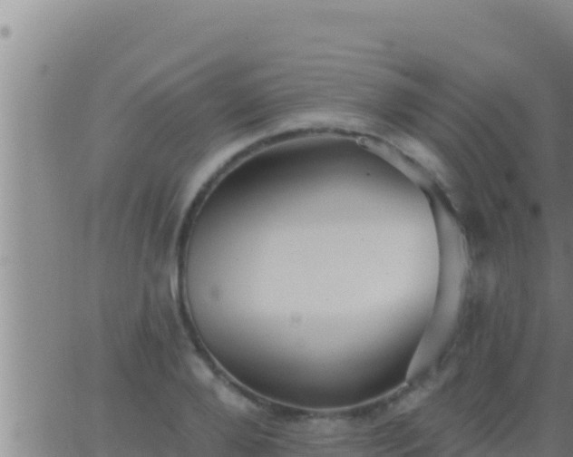 X0000062910888200601201933