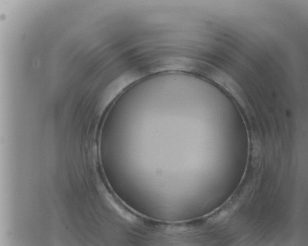 X0000062910890200601201933