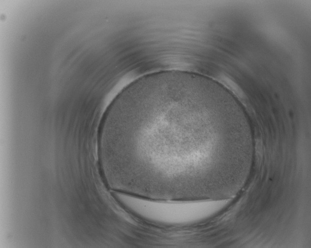 X0000062910891200601201933