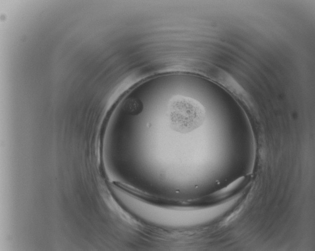 X0000062910892200601201933