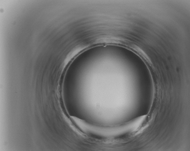 X0000062910893200601201933