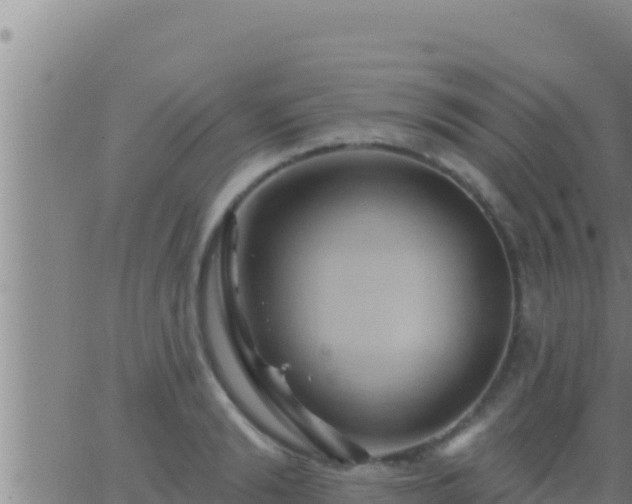 X0000062910894200601201933