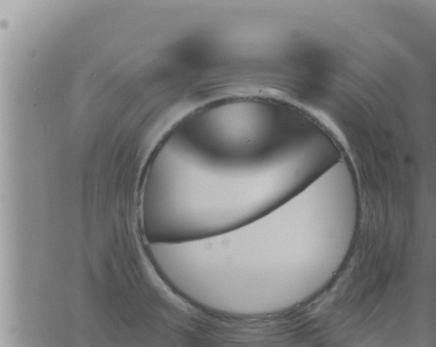 X0000062910895200601201933