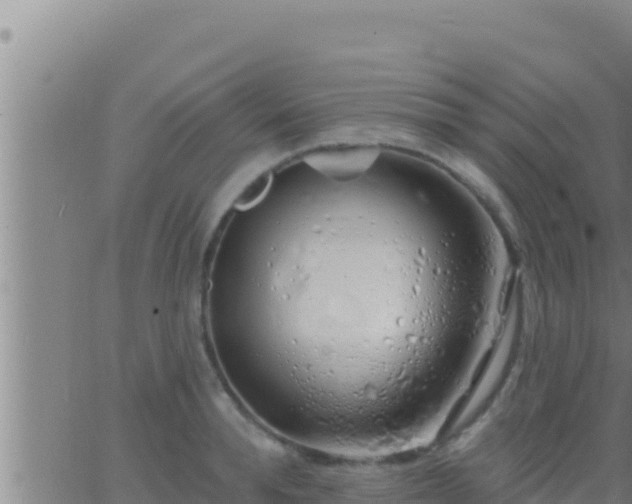 X0000062910896200601201933