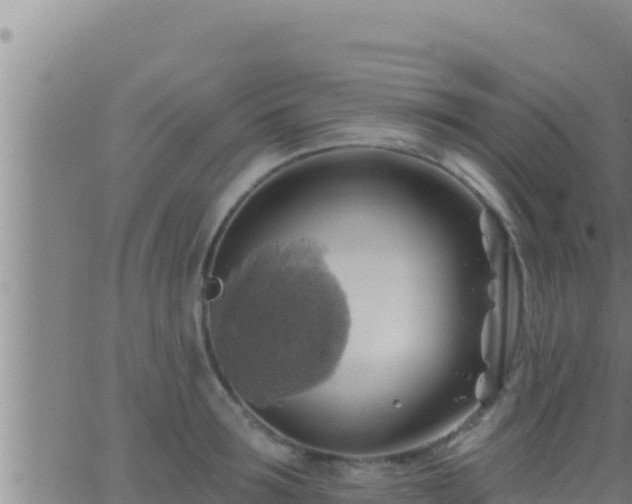 X0000062910899200601201933