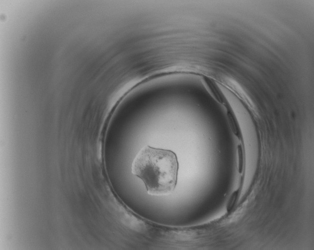 X0000062910900200601201933