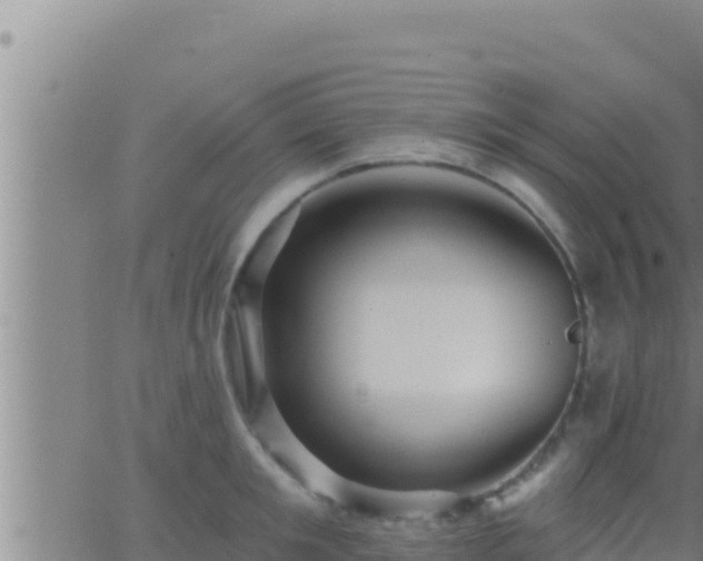 X0000062910901200601201933