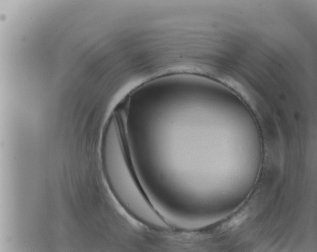 X0000062910902200601201933