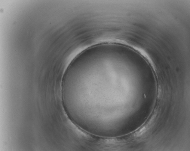 X0000062910903200601201933