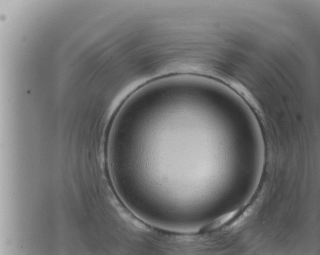 X0000062910904200601201933