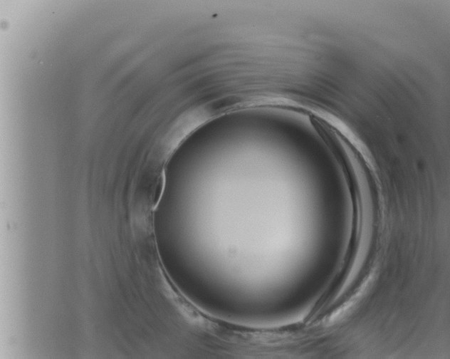 X0000062910905200601201933