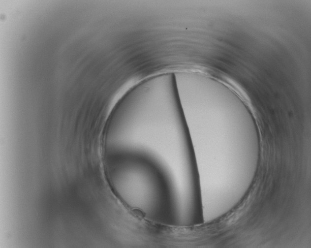 X0000062910907200601201933