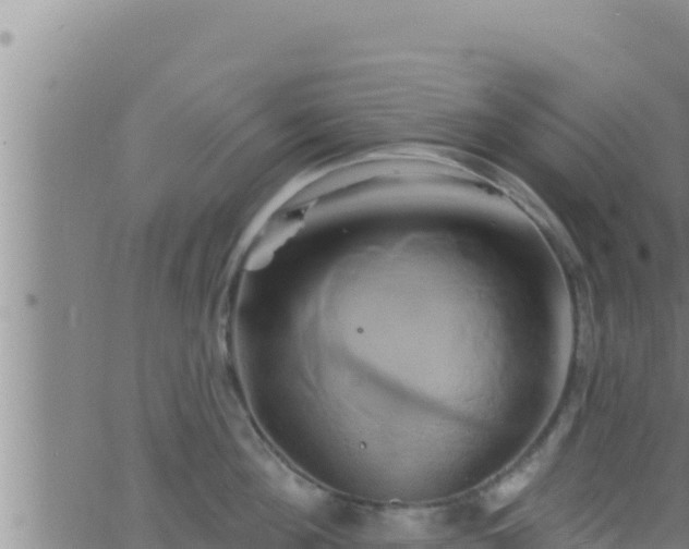 X0000062910908200601201933