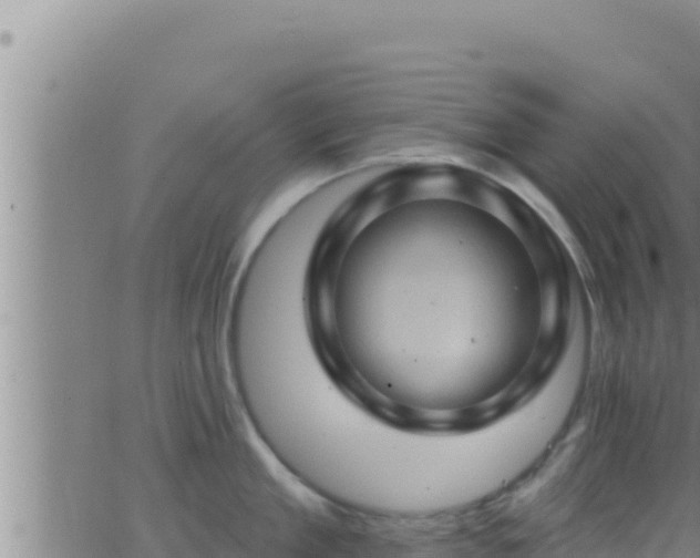 X0000062910909200601201933