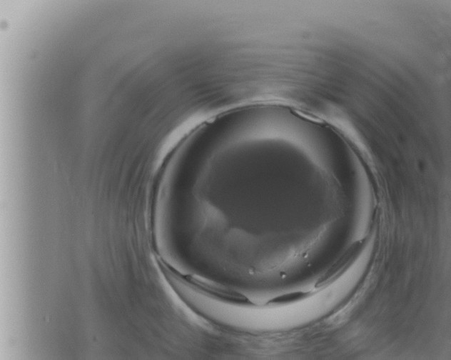 X0000062910910200601201933