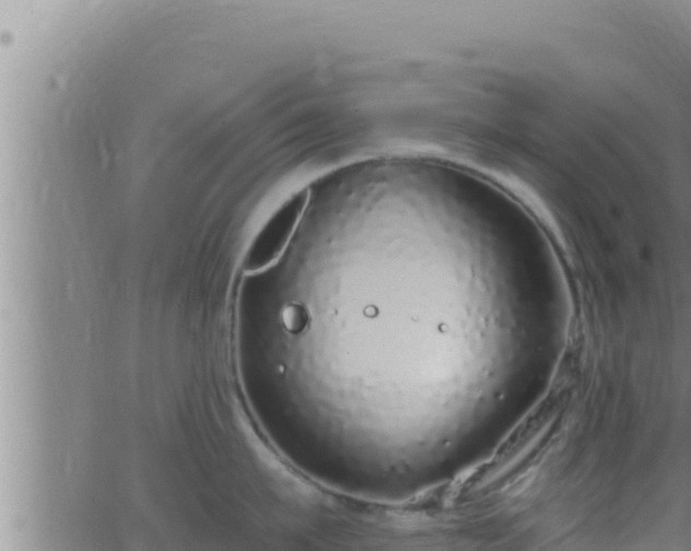 X0000062910911200601201933