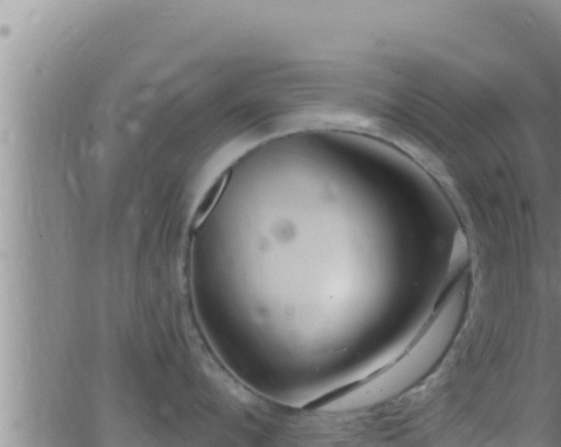 X0000062910912200601201933