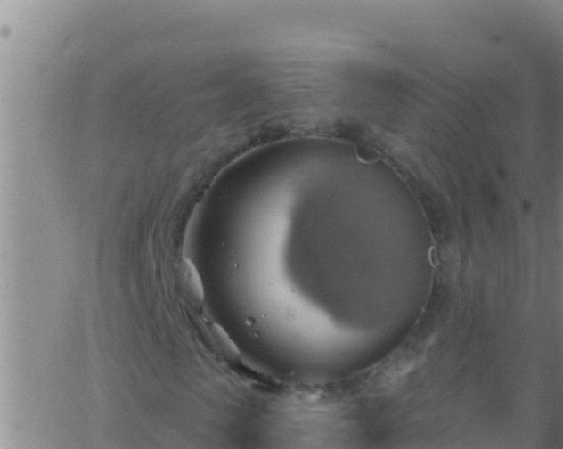 X0000062910913200601201932