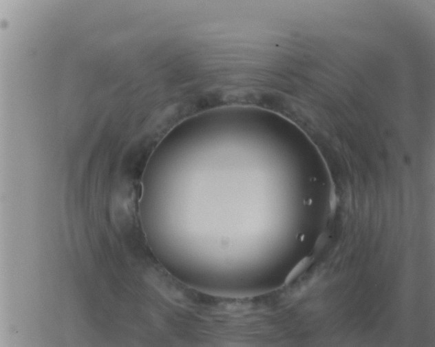 X0000062910914200601201932