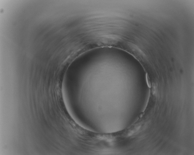 X0000062910915200601201932