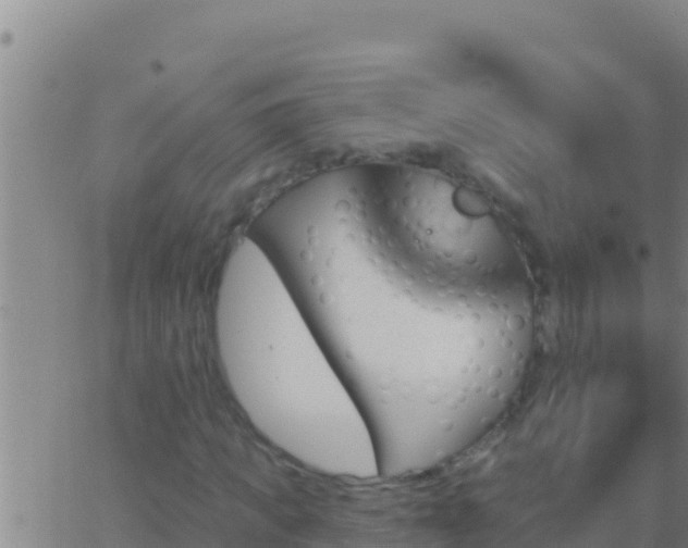 X0000062910917200601201932