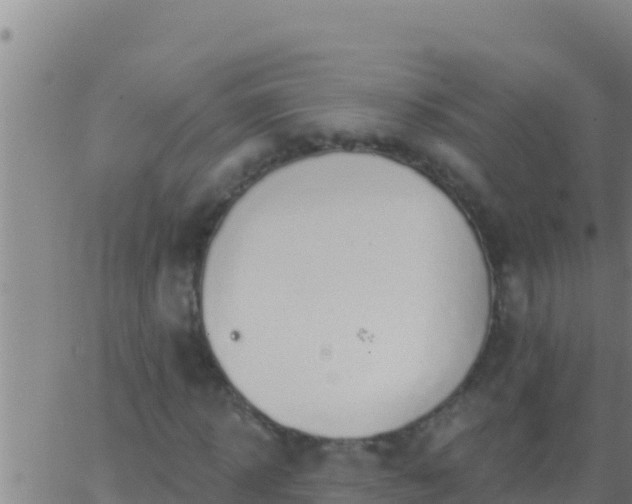 X0000062910918200601201932