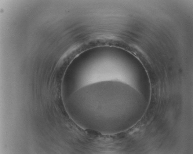 X0000062910919200601201932