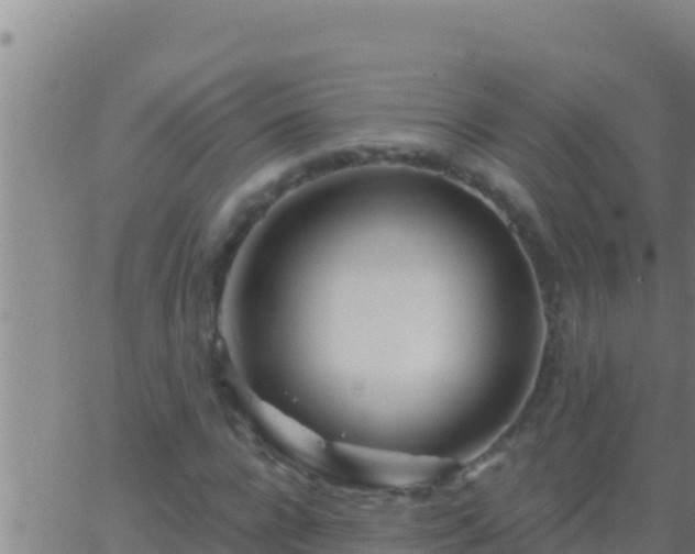 X0000062910920200601201932