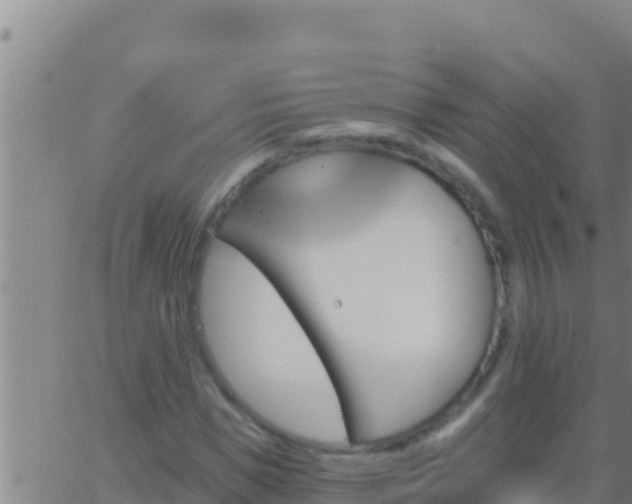 X0000062910921200601201932