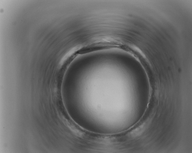 X0000062910922200601201932