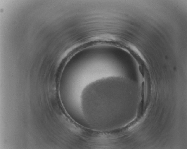 X0000062910923200601201932