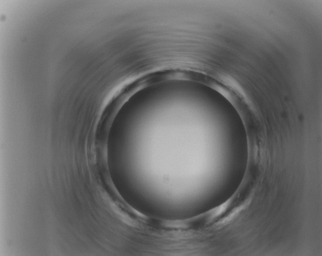 X0000062910924200601201932